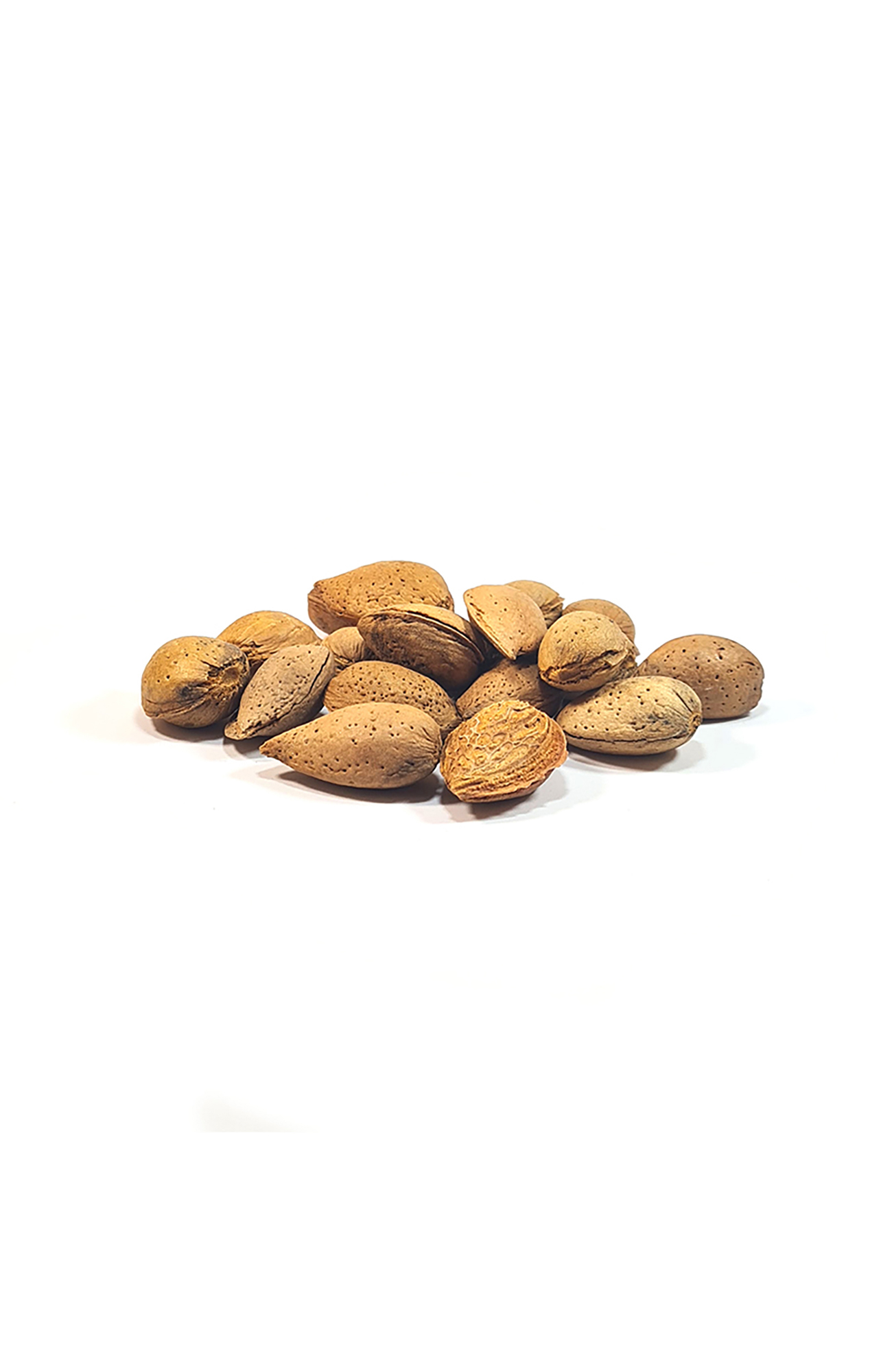 Amêndoa Casca Molar